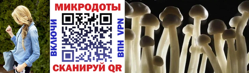 дарнет шоп Высоцк Псилоцибиновые грибы ЛСД
